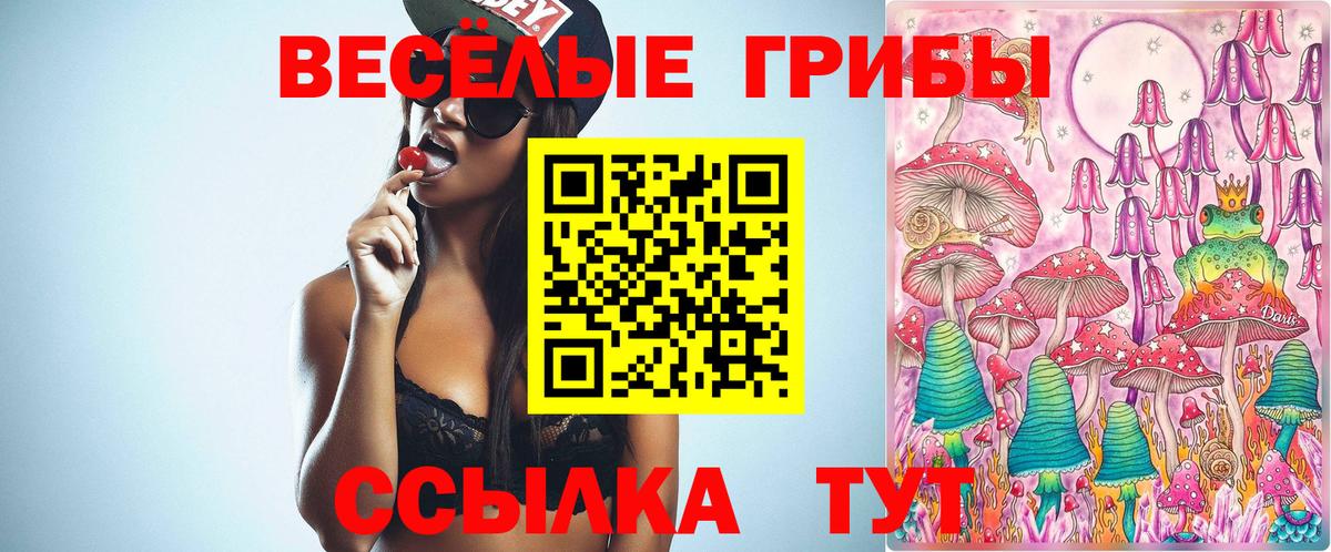 Галлюциногенные грибы прущие грибы Кострома