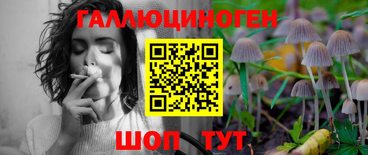 Галлюциногенные грибы GOLDEN TEACHER  Вход с VPN  Кострома 