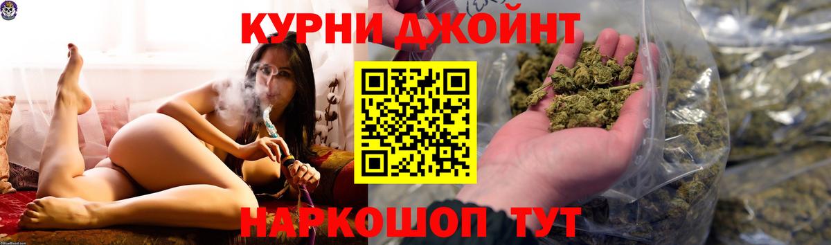 Каннабис OG Kush Кострома